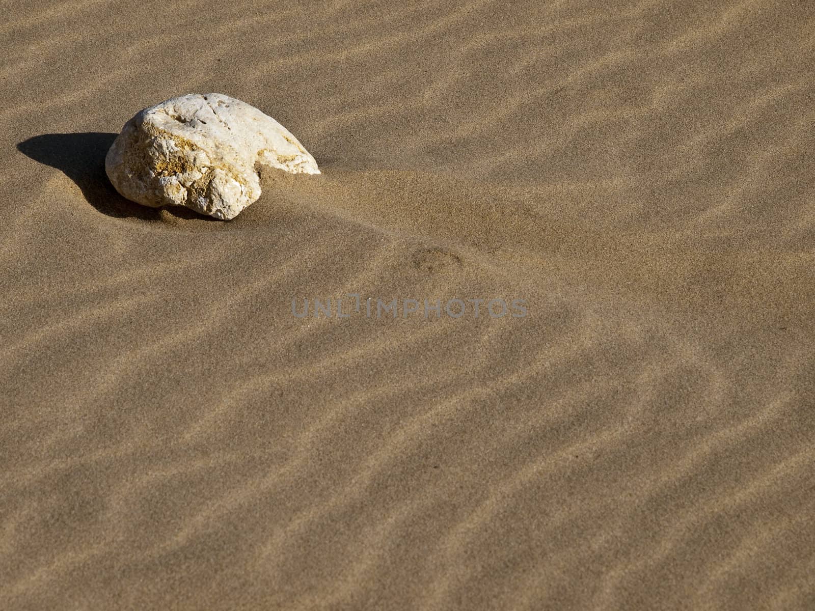 Stones laying on desert or beach sand dunes