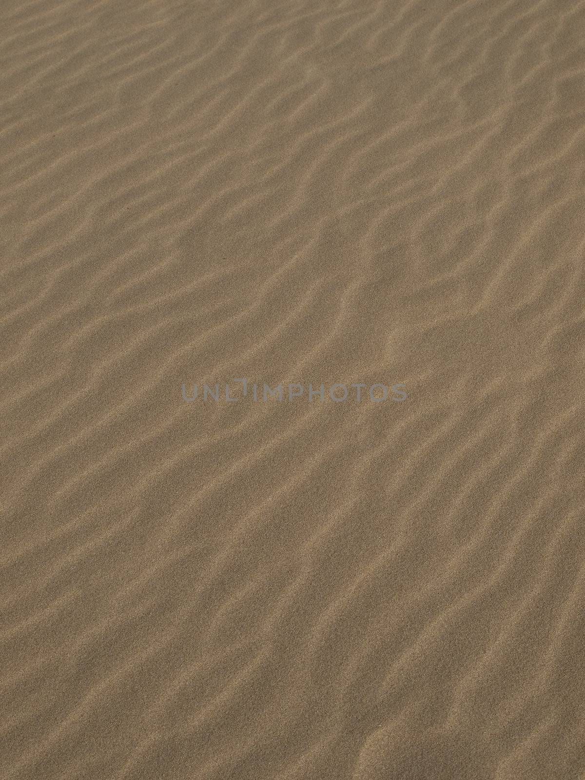 Texture of desert or beach sand dunes ideal for backdrop