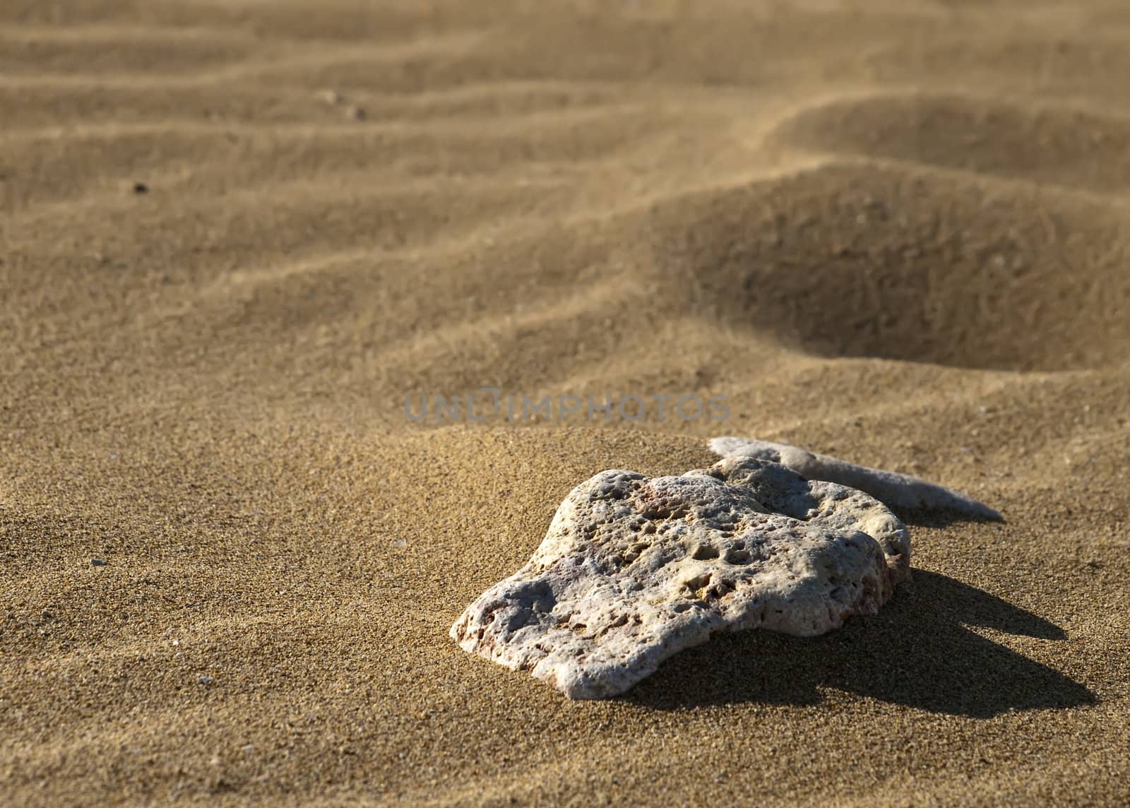 Stones laying on desert or beach sand dunes