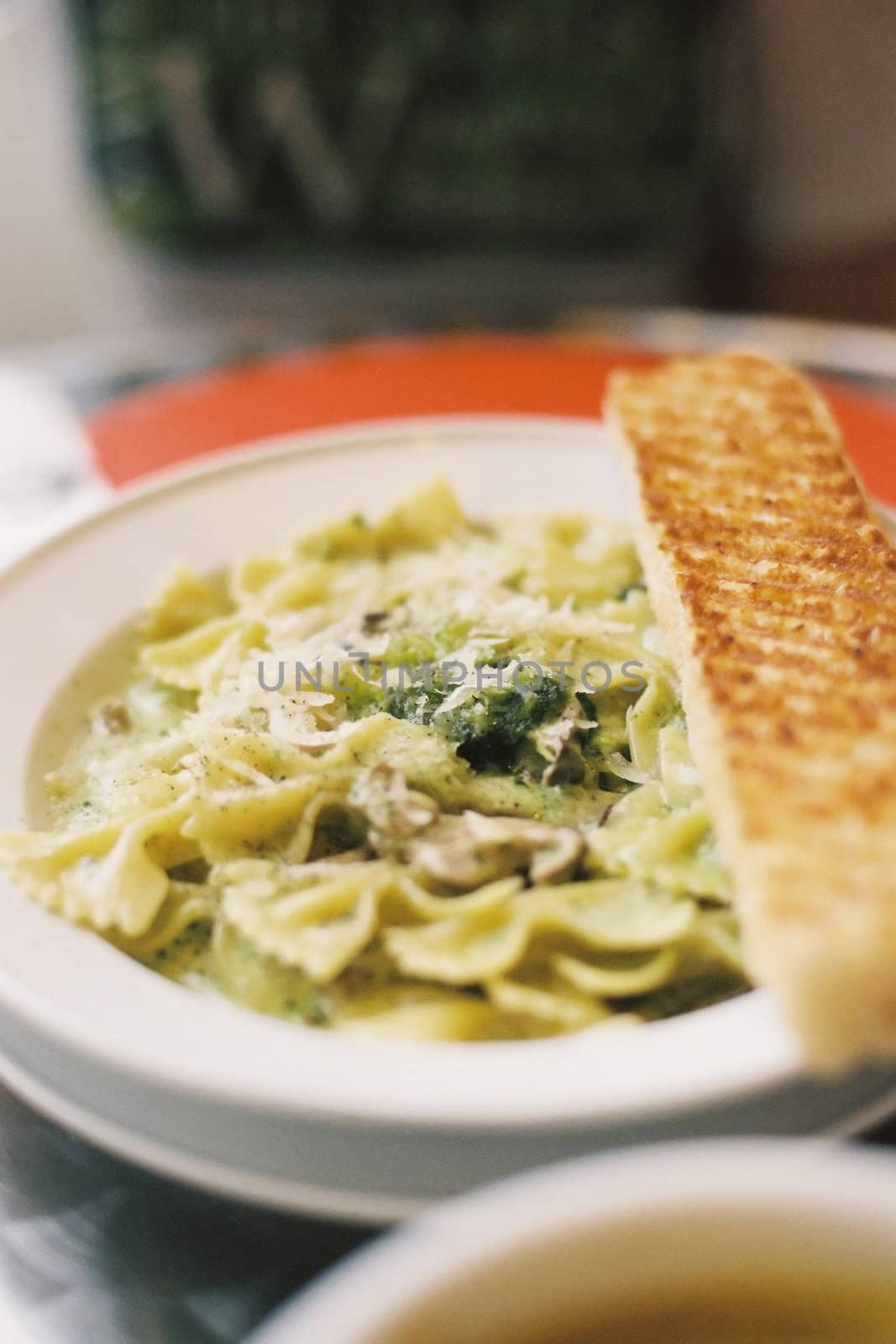 Delicious pasta (Farfalla - butterfly), in cream sauce with garlic, herbs and cheese.