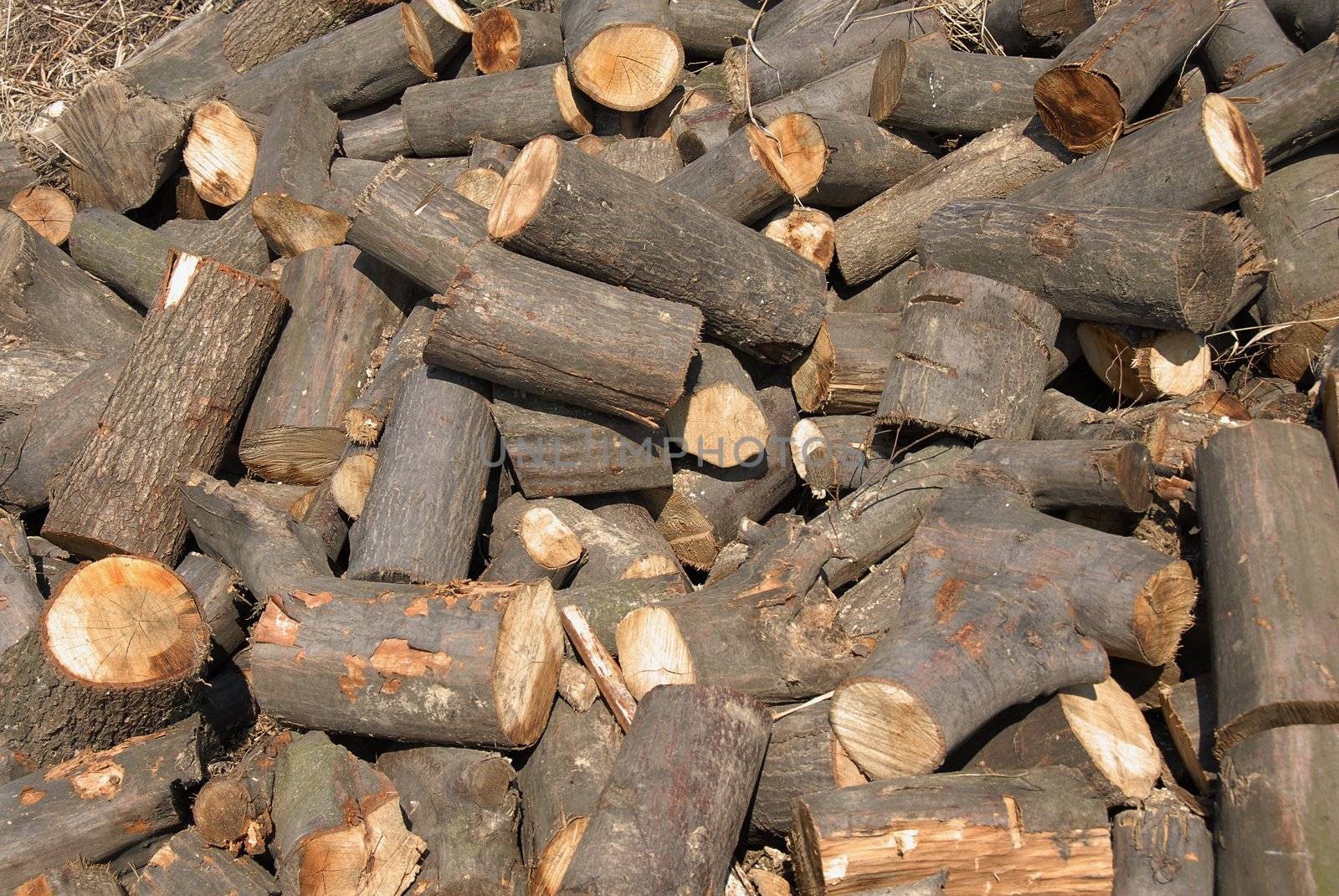 cut wood in chaotic heap outdoor background