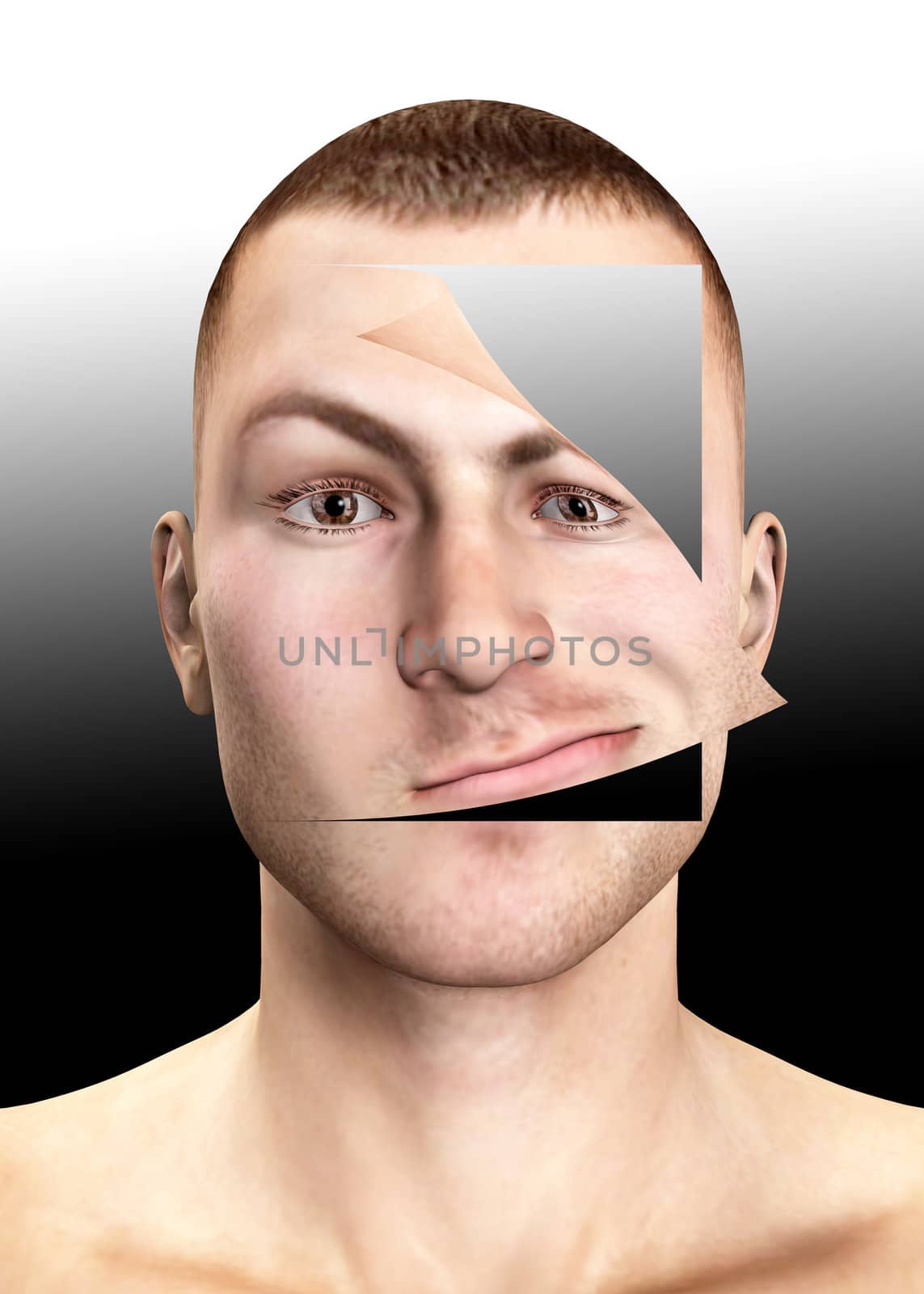 Image of a peeled human face.