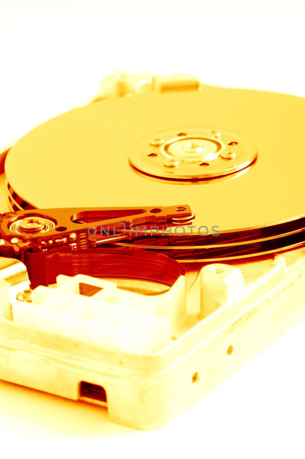 detail of hard disk drive. Golden drive.