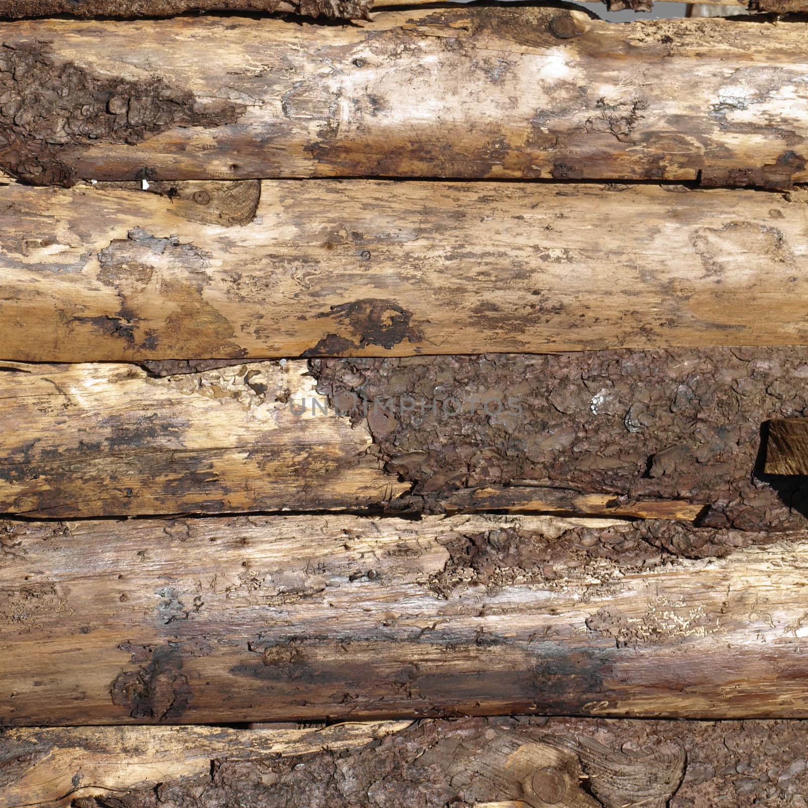 Old wood logs or plank board background