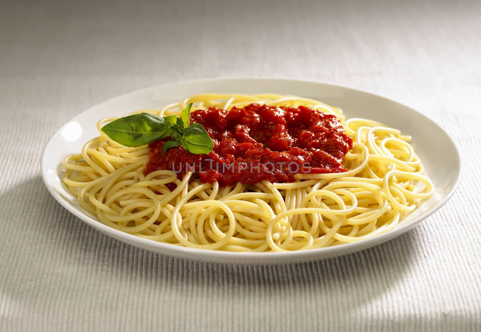 spaghetti plate