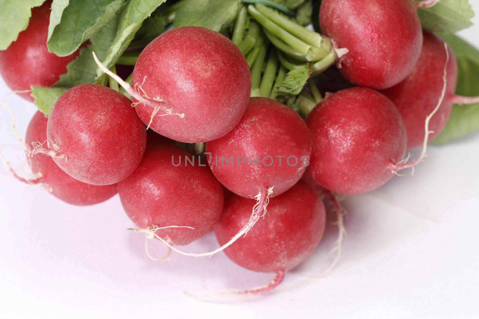 Bunch of fresh radish with leaves over white backgroud