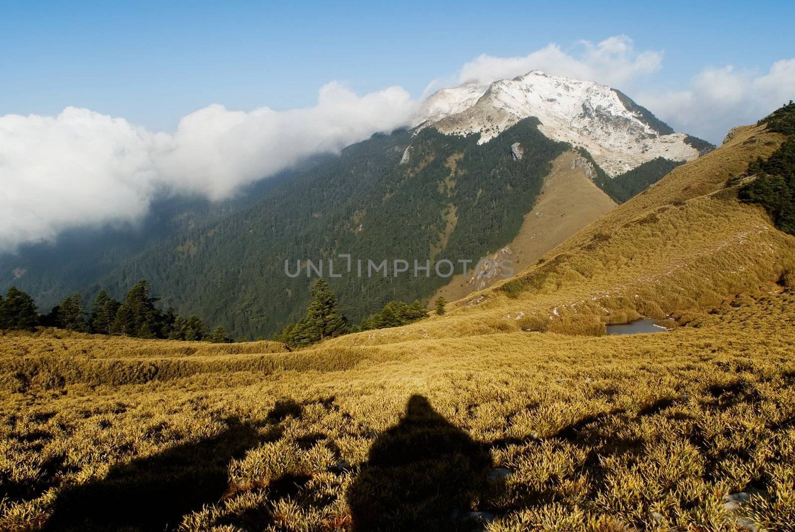 A landscape with snow mountain peak and yellow grassland.