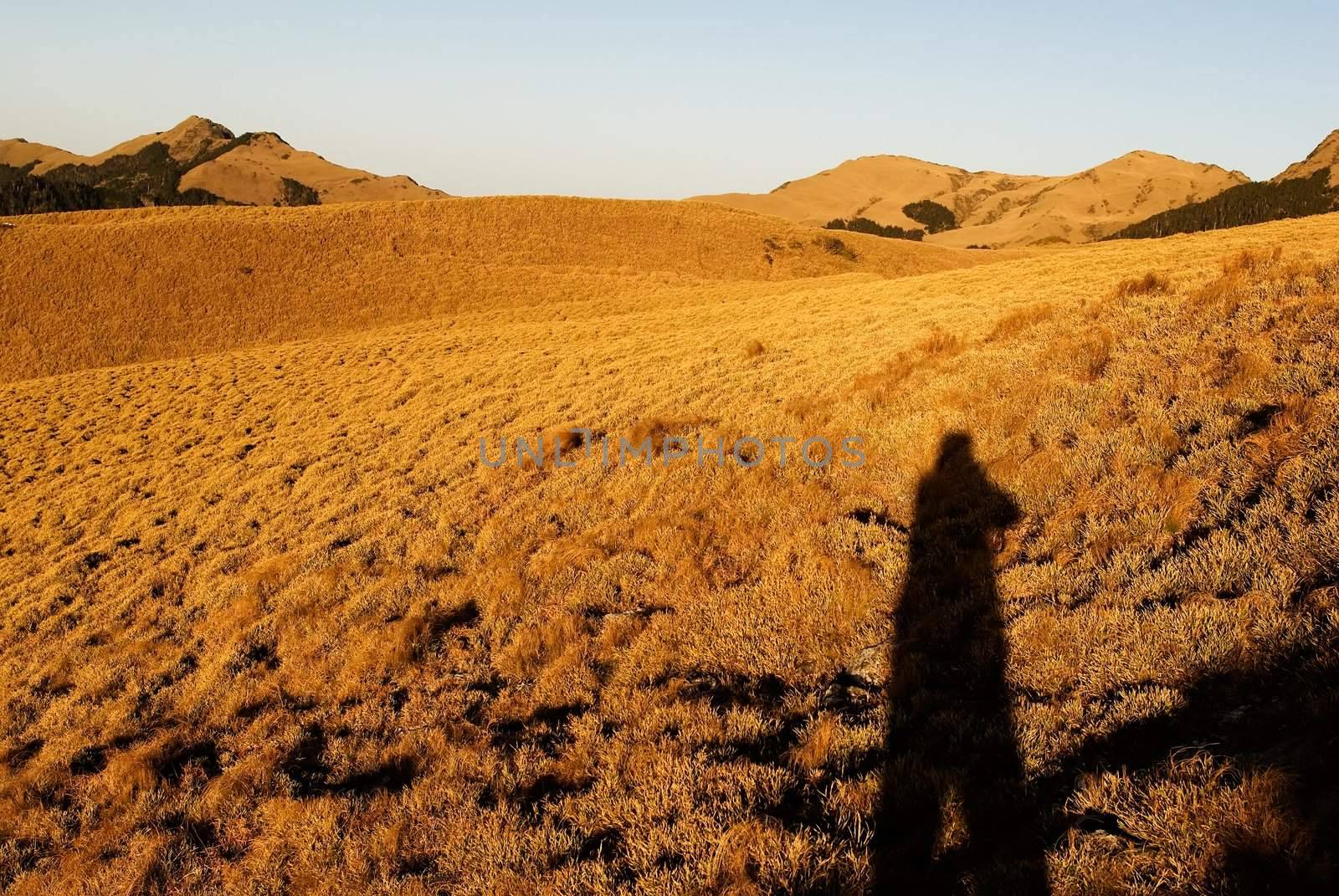 A shadow in the yellow grassland of high mountain.