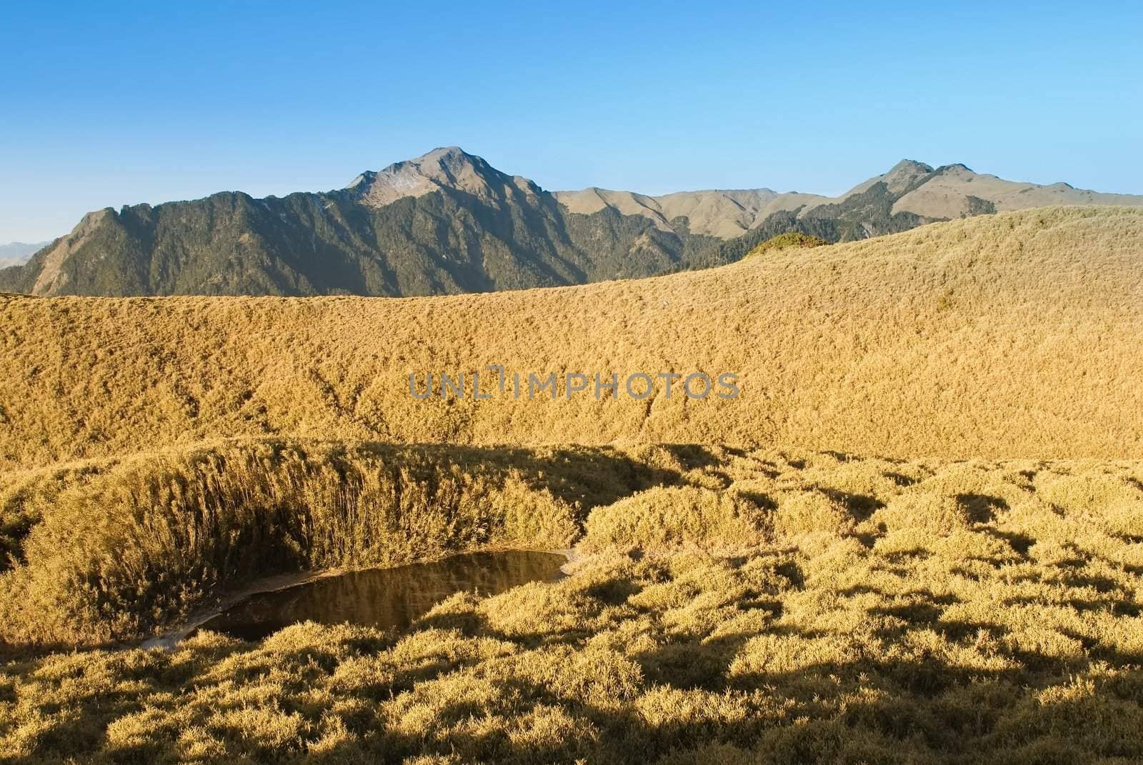 Blue sky mountain and golden grassland small lake.