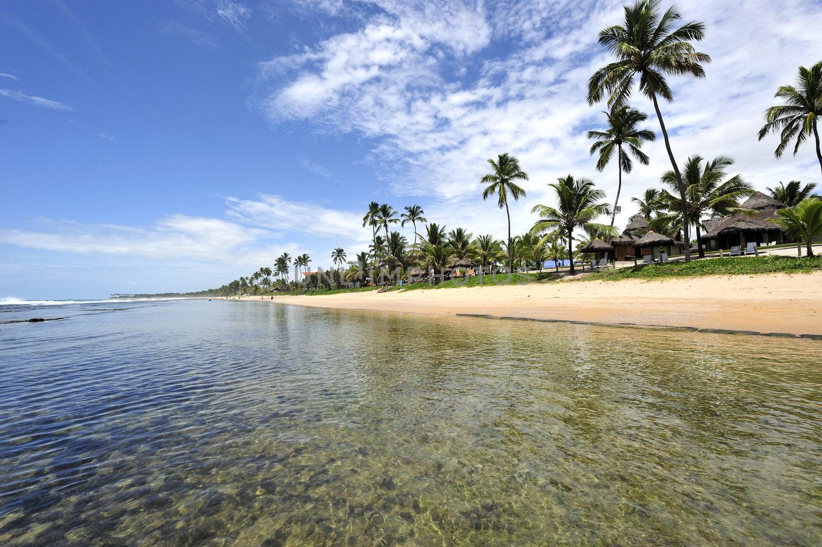 Beach in Porto de Galinhas, Brazil
