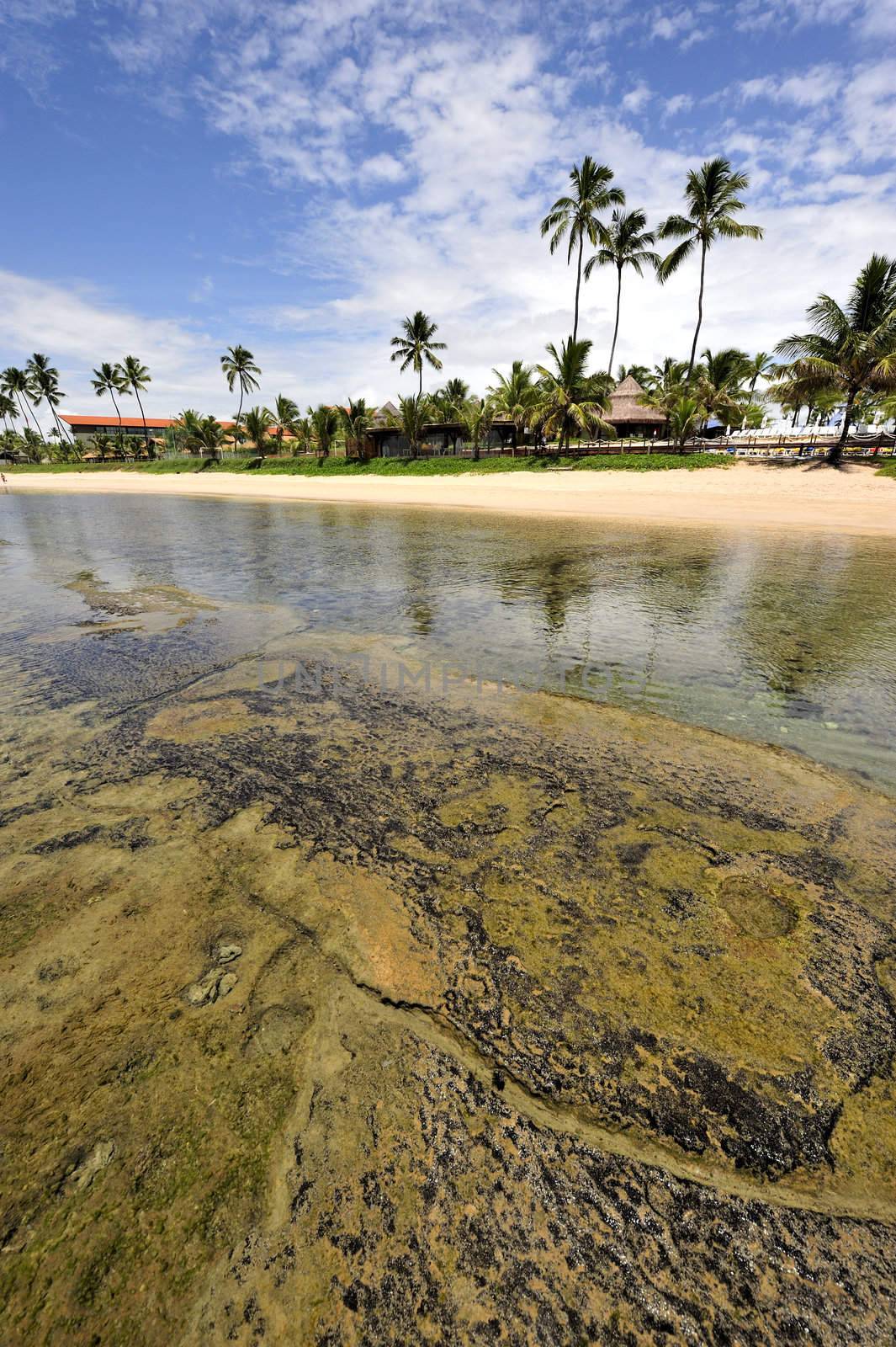 Beach in Porto de Galinhas, Brazil
