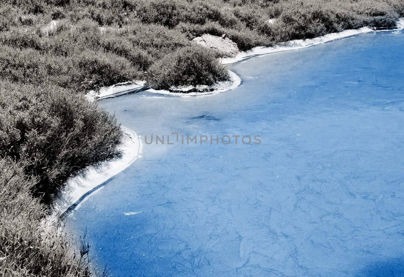 Beautiful strange iced pond surface and grass. by elwynn