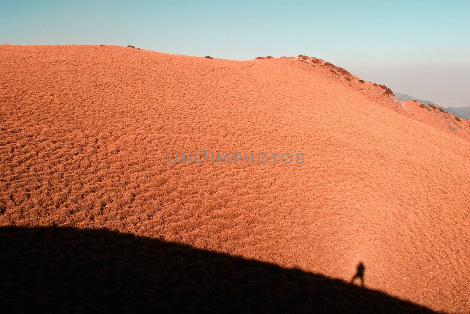 A man's shadow on the yellow grassland in high mountain. by elwynn