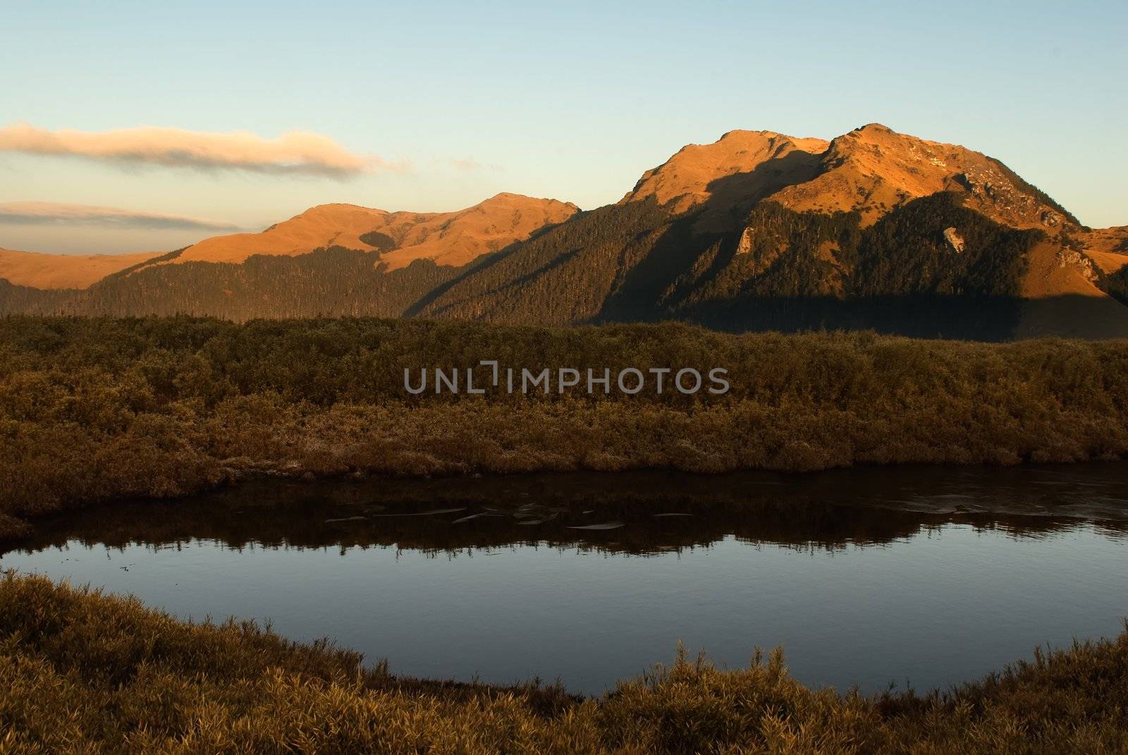 Blue sky mountain and golden grassland lake in morning.