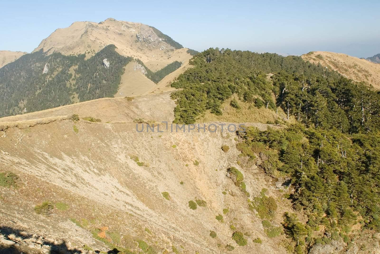 Golden grassland and dangerous ravine in the high mountain.