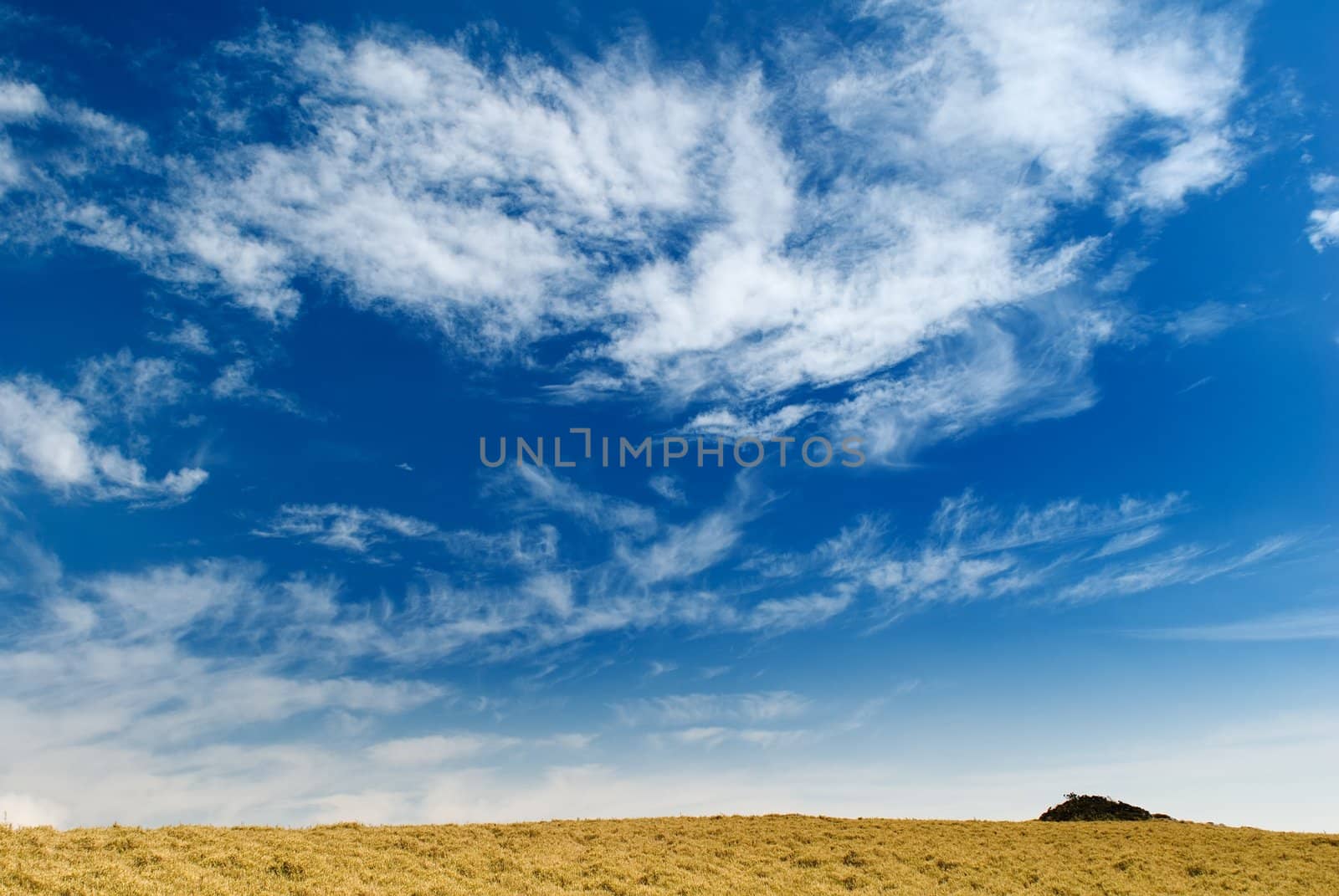 Beautiful clouds over the golden grassland in mountain. by elwynn