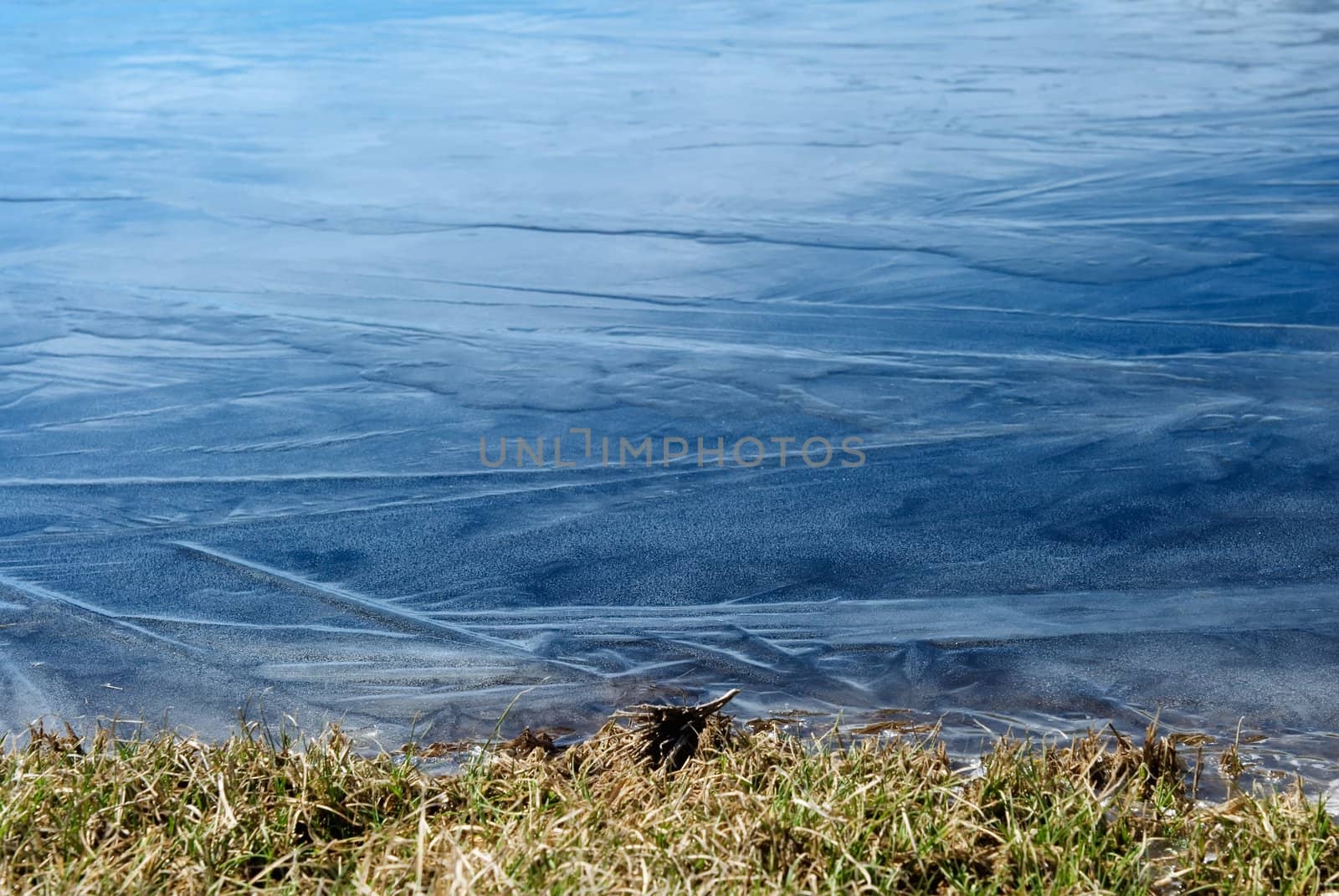 Beautiful strange iced pond surface and grass. by elwynn