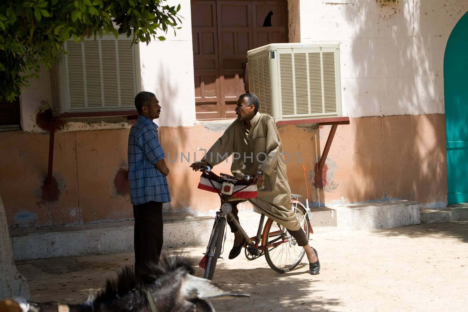 Edfu, Egypt by MihaiDancaescu