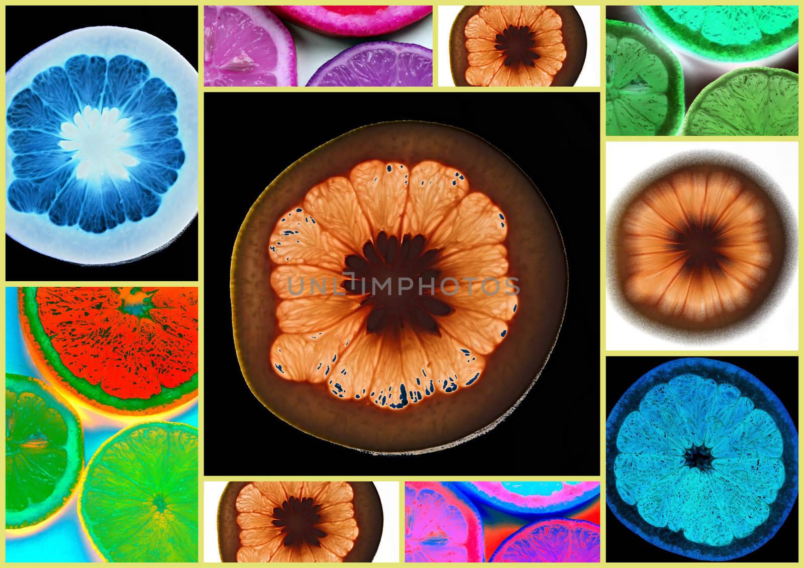 colorful healthy lemon collage made from nine photographs.