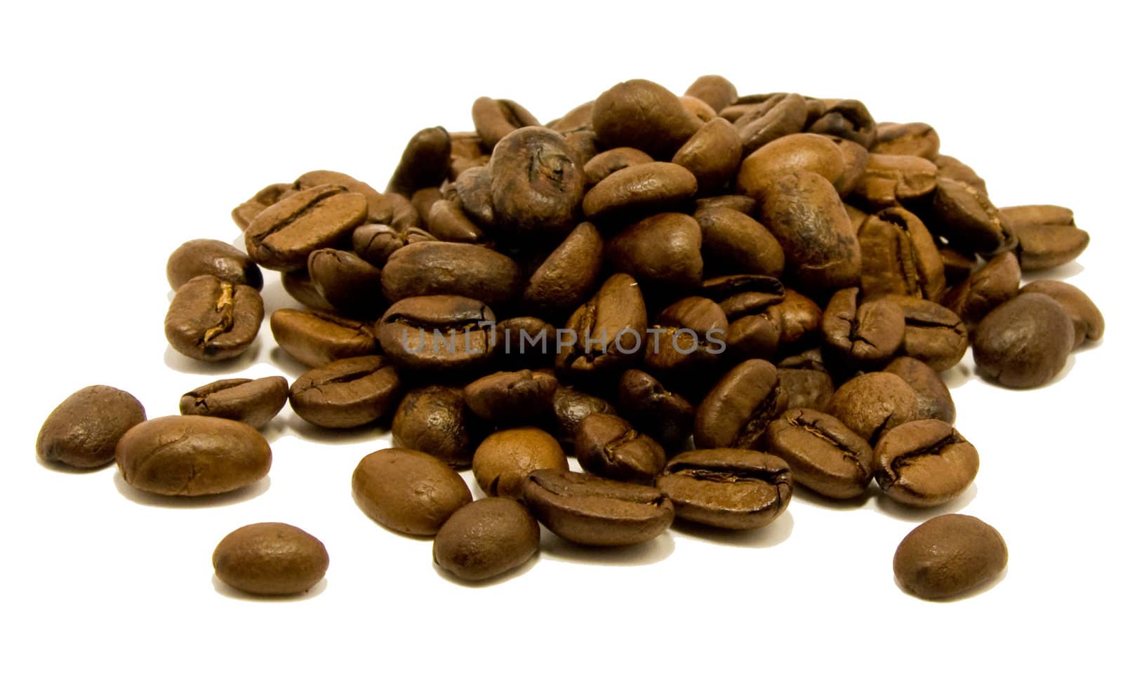 Freash Roasted Coffee