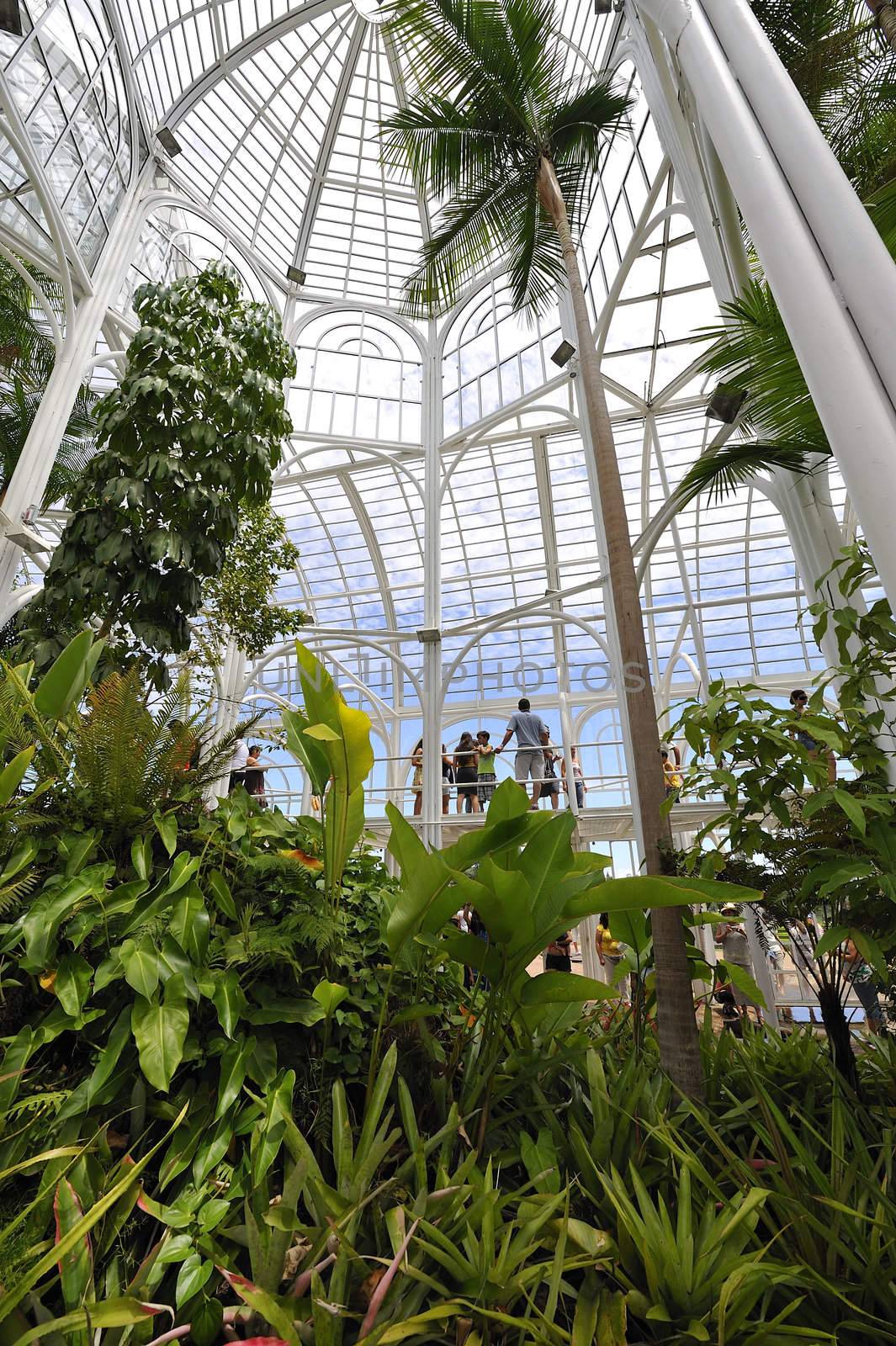 Botanic Garden in Curitiba, Brazil
