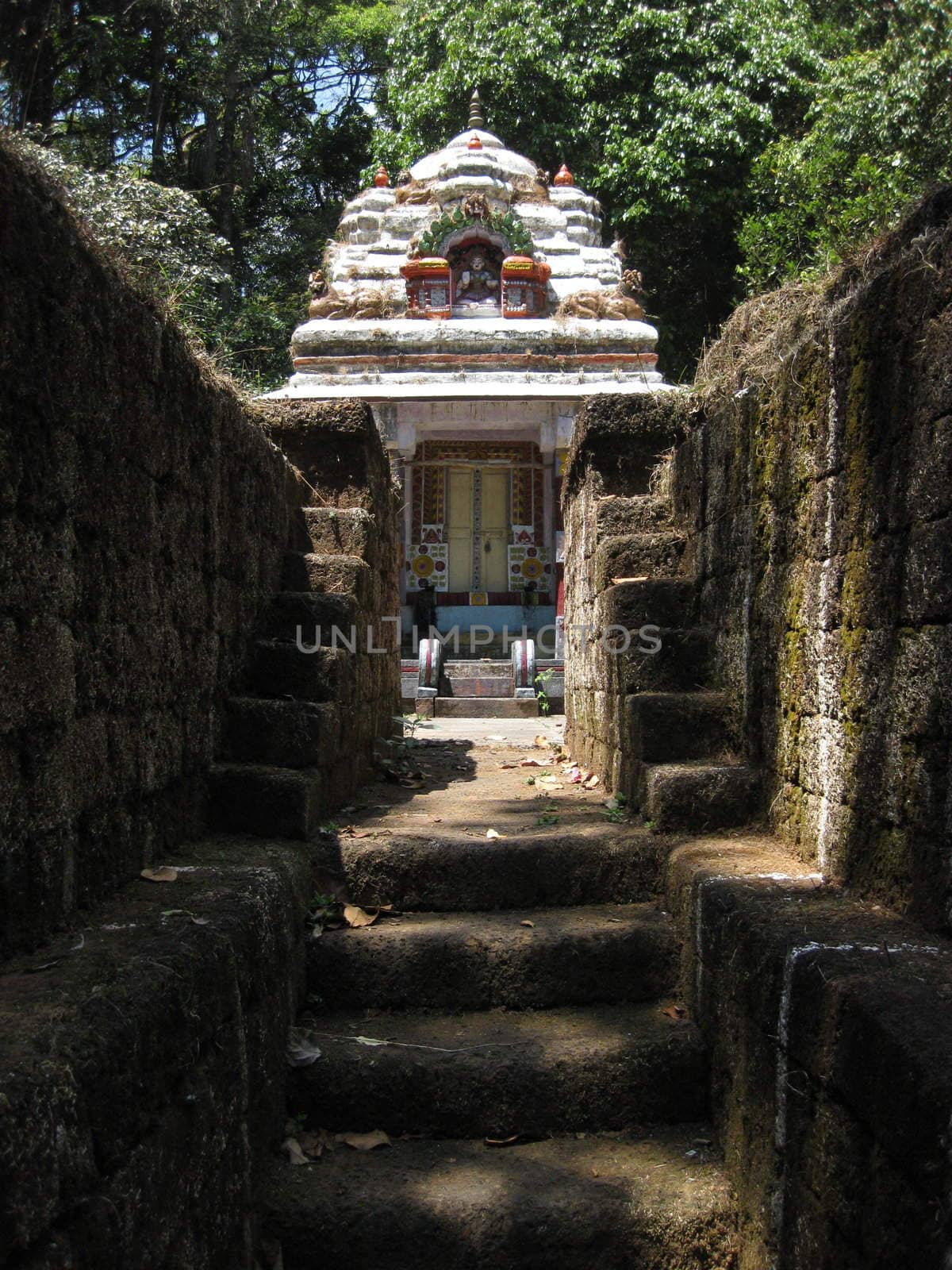 A little temple in a sacred grove in Corg, India