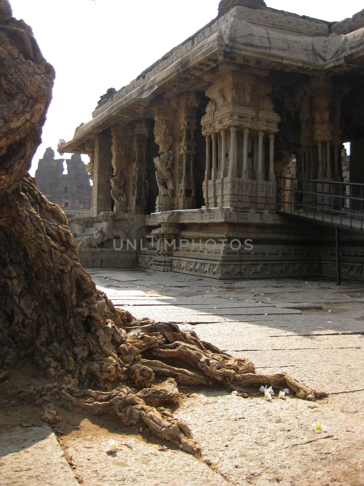 A Picture of an ancient vijaynagar Temple in Hampi, with an old tree in the foreground
