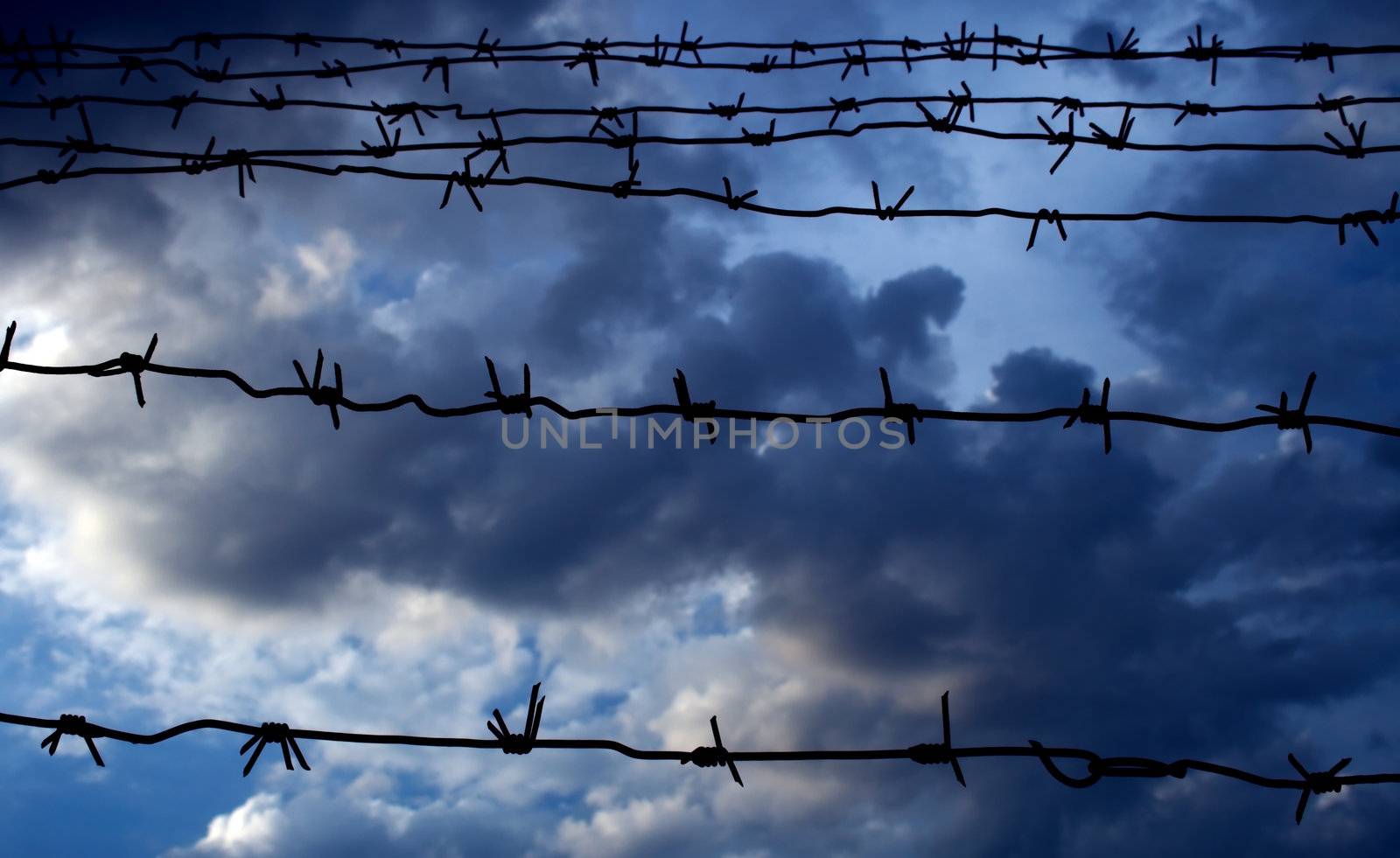 Barbed wire against the dark blue sky