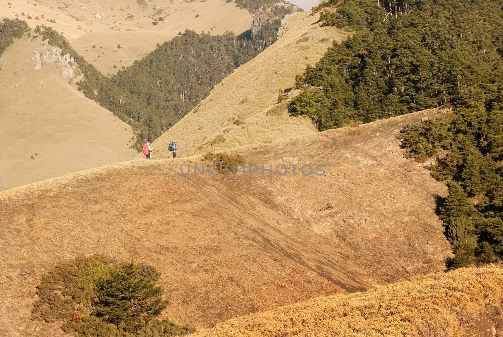 Golden grassland and dangerous ravine in the high mountain.