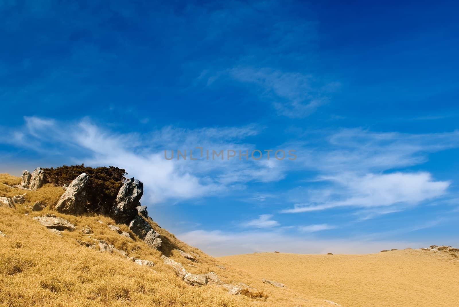 Beautiful clouds over the golden grassland and rock. by elwynn