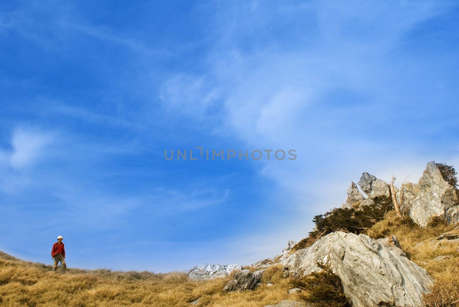 A man walk on a yellow grassland in outdoor. by elwynn