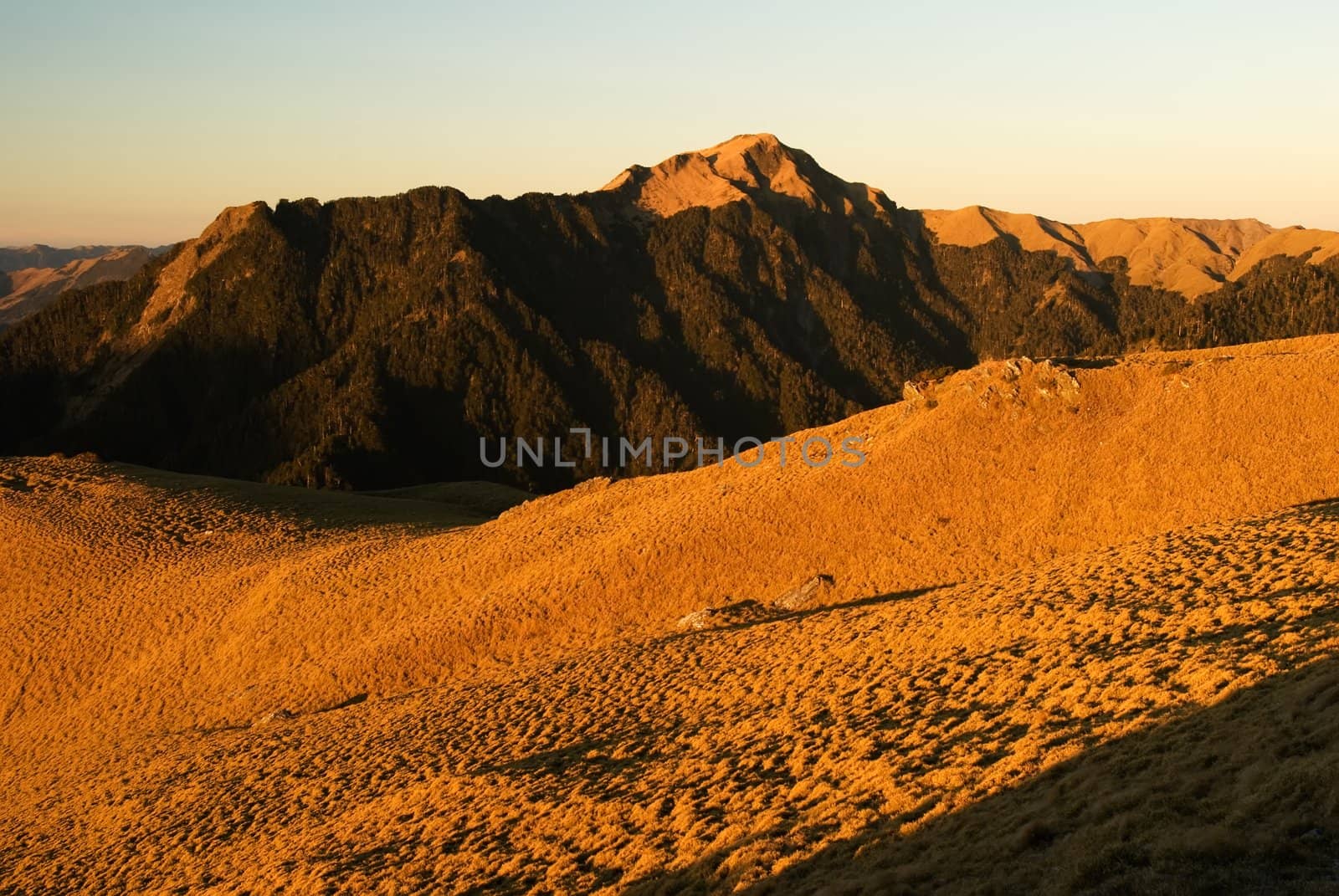 The sunrise golden beautiful high mountain landscape. by elwynn