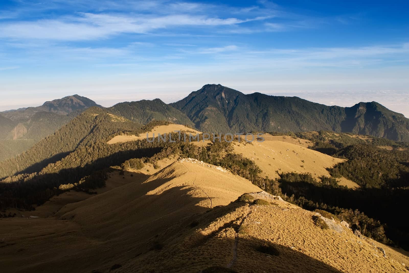 Beautiful sunrise forest colored with golden light. by elwynn