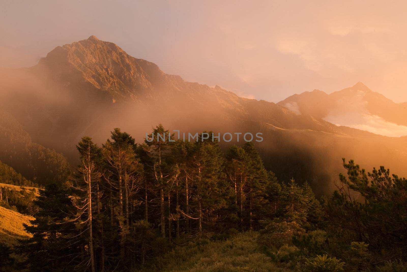 Golden mist mountain landscape full of power. by elwynn