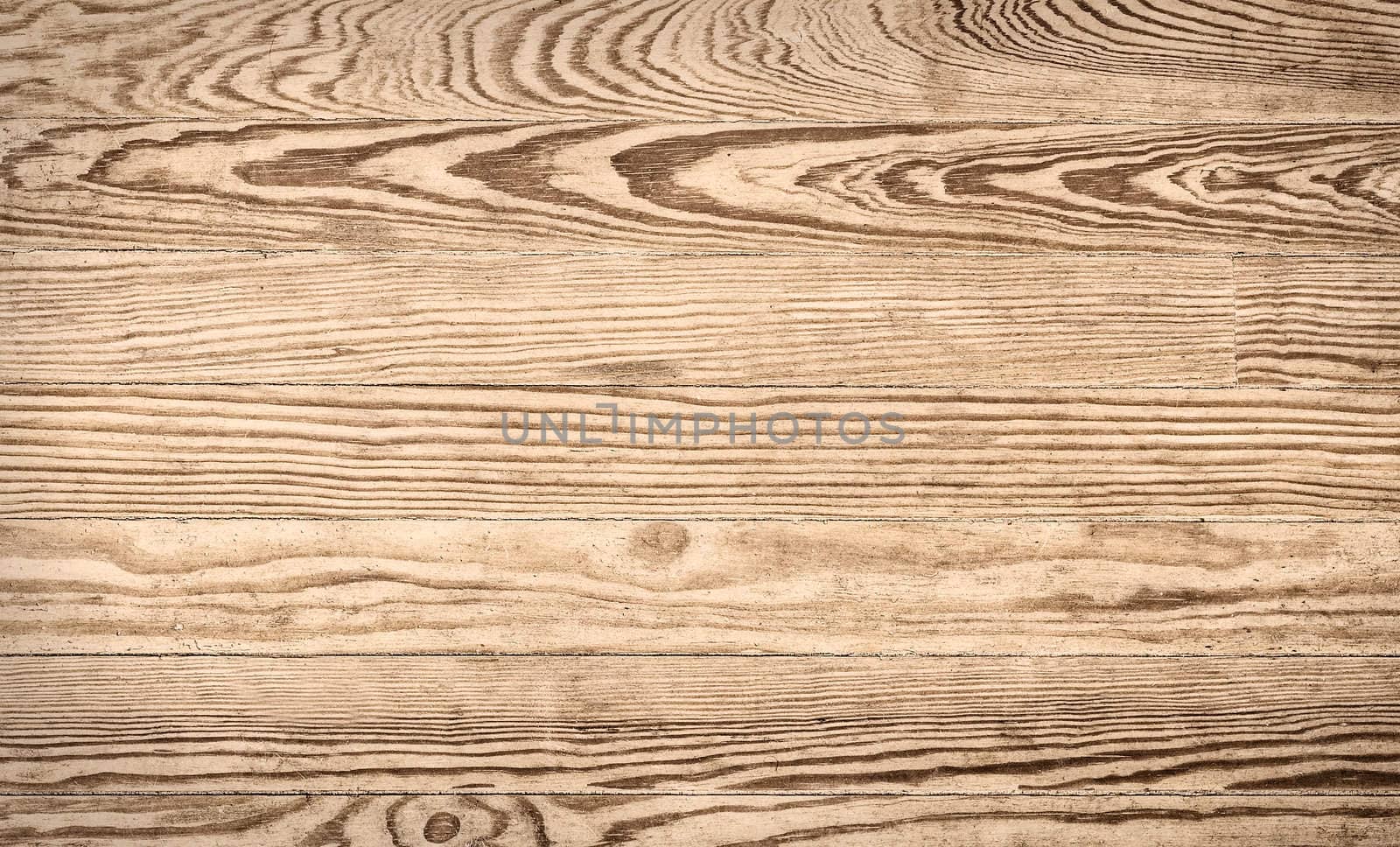 Close up shot of an old wood texture.