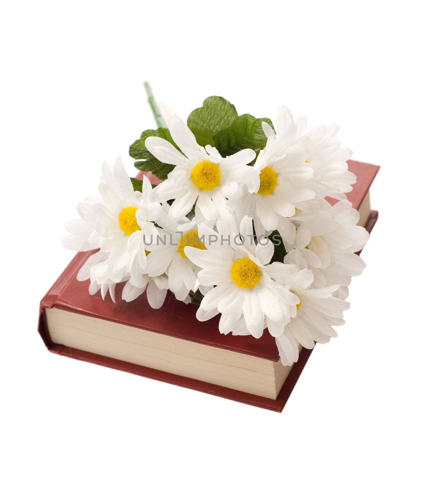 A closed book with some artificial daisies on top, isolated against a white background