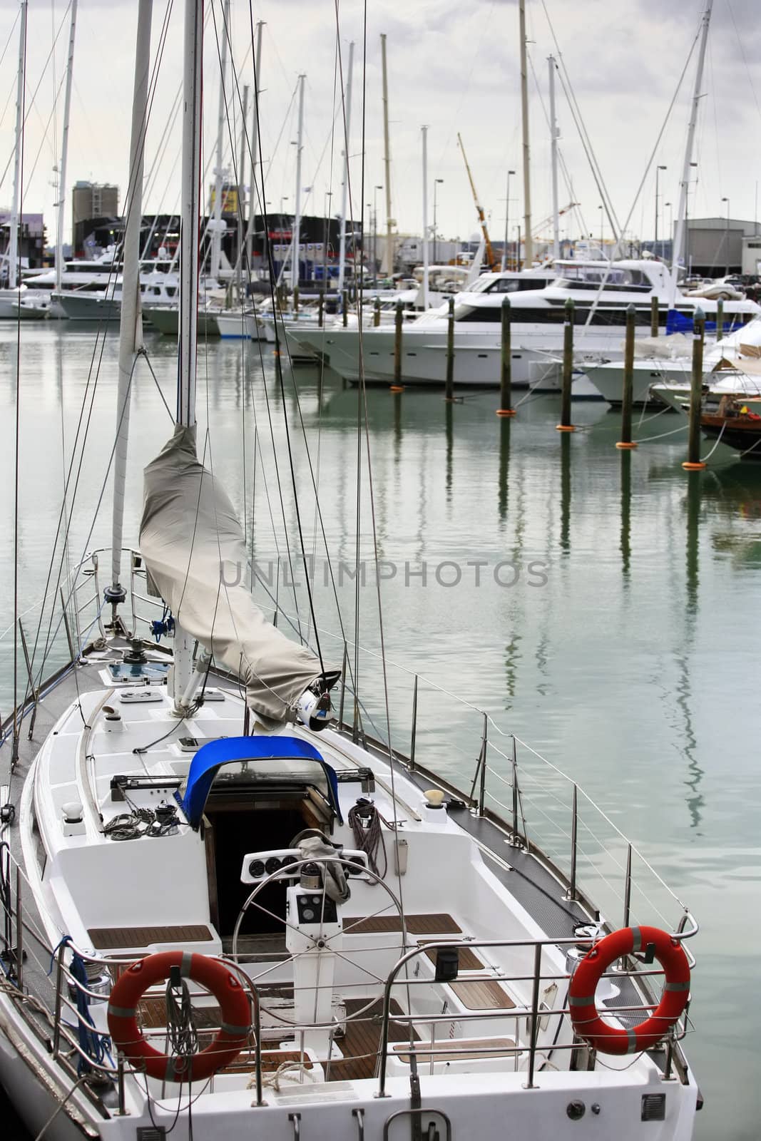 Tall luxury boats and yachts moored in harbour. Port in Auckland, New Zealand