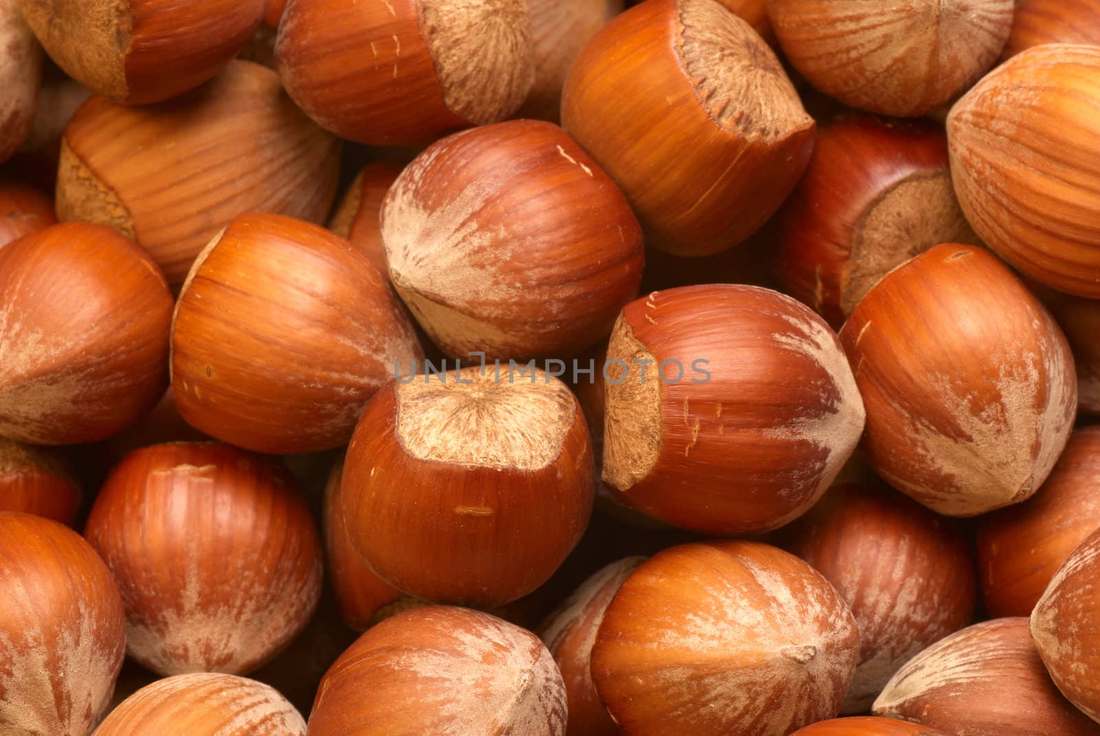 A stack of fresh unshelled hazelnuts, food background