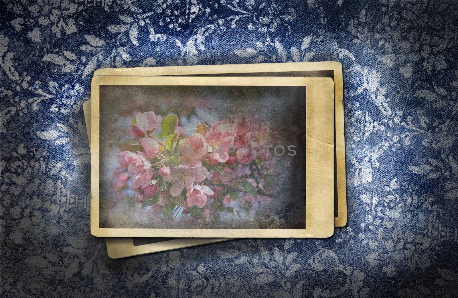 Grungy faded denim effect with old vintage photos by Sandralise