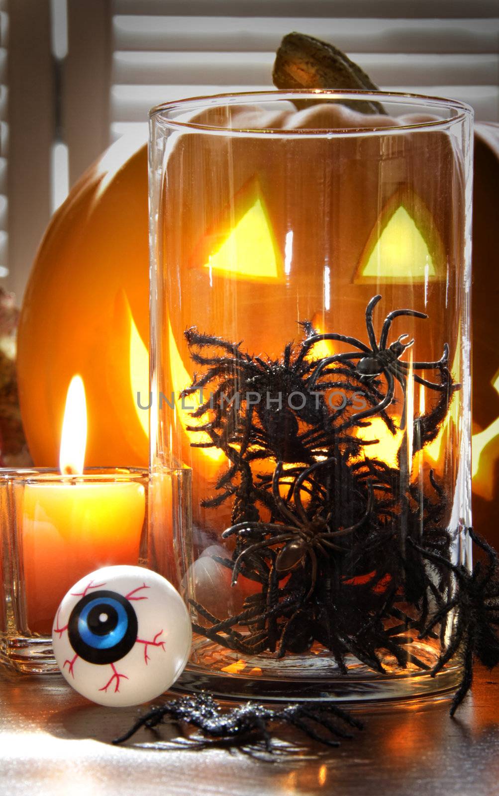Decorative spiders in glass container for Halloween