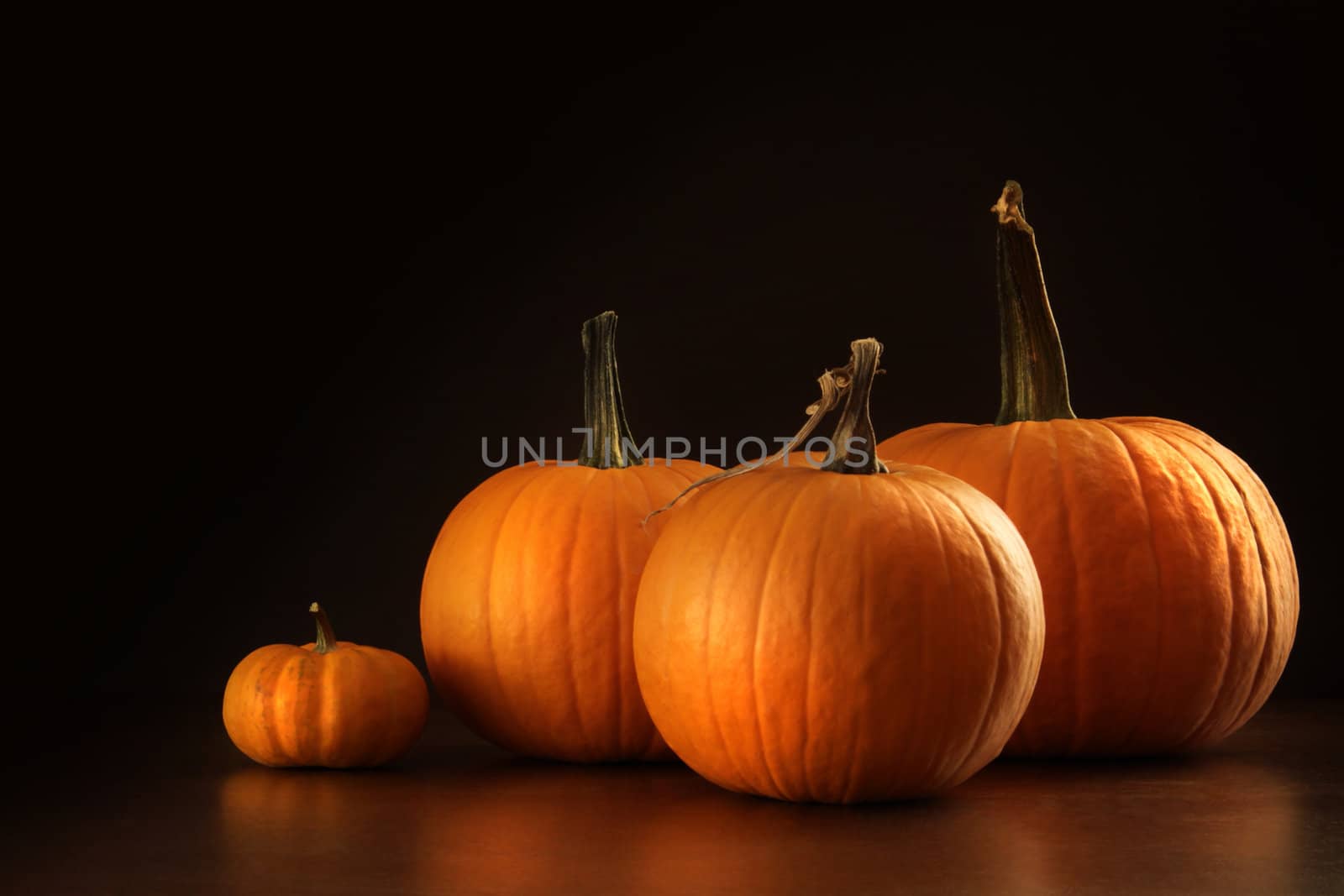 Colorful pumpkins on wood table on dark  by Sandralise