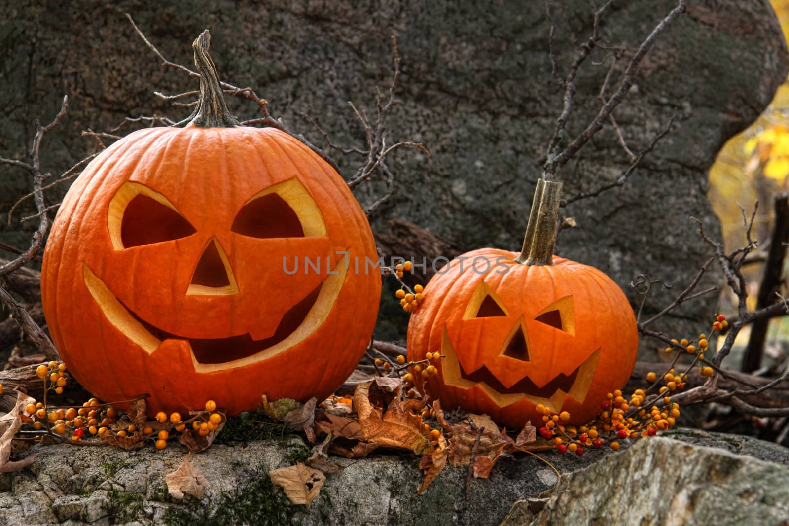 Halloween pumpkins on rocks in forest by Sandralise