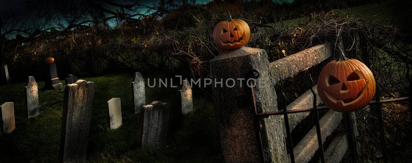 Two Halloween pumpkins sitting on fence by Sandralise