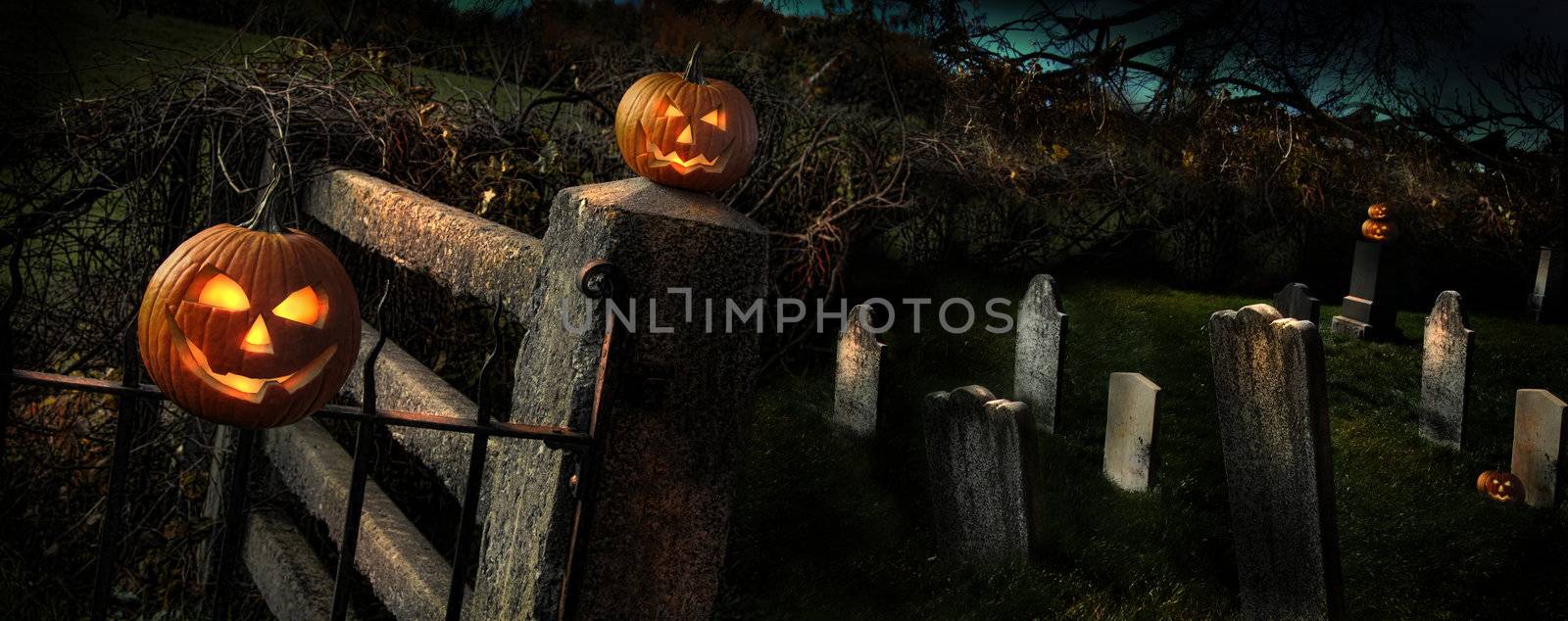Two Halloween pumpkins sitting on fence by Sandralise