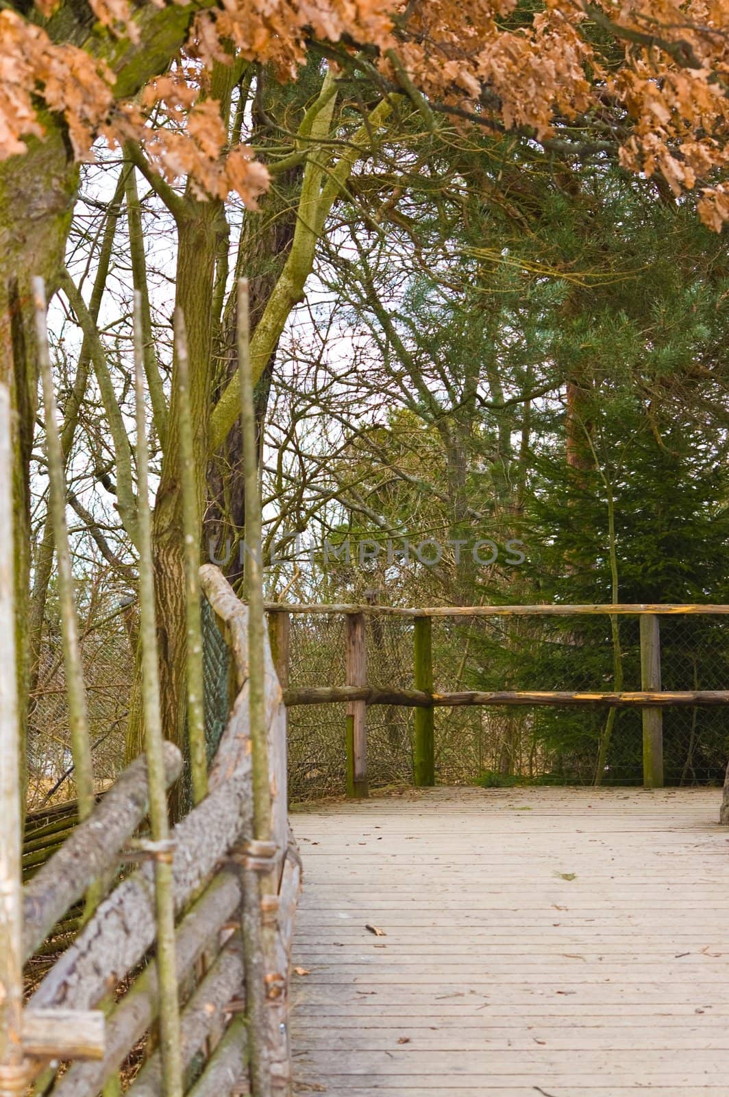 Quiet corner in the park