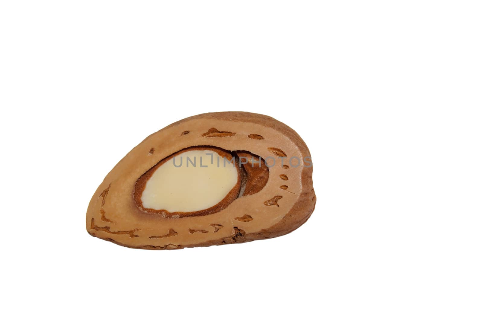 Almond with shell cut in the middle.