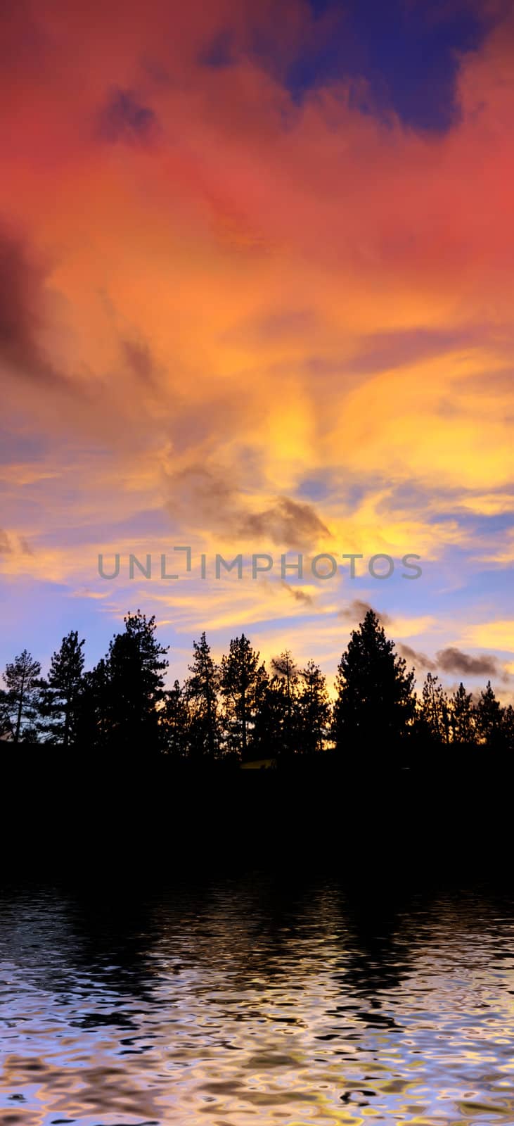 Red Clouds at Sunset Above Trees and Water on the Lake Tahoe Cal by goldenangel