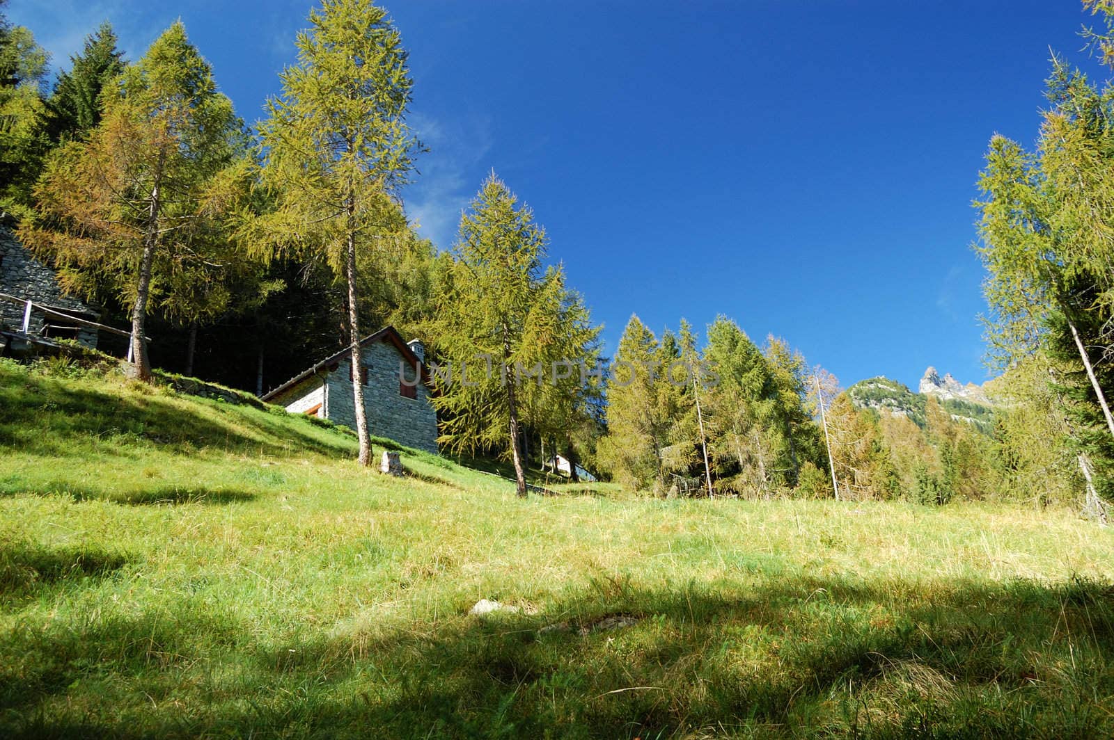 summer alpine village landscape, Antigorio Valley, Italy