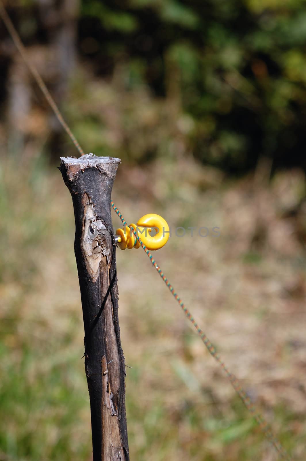 electric fence post, detail, vertical