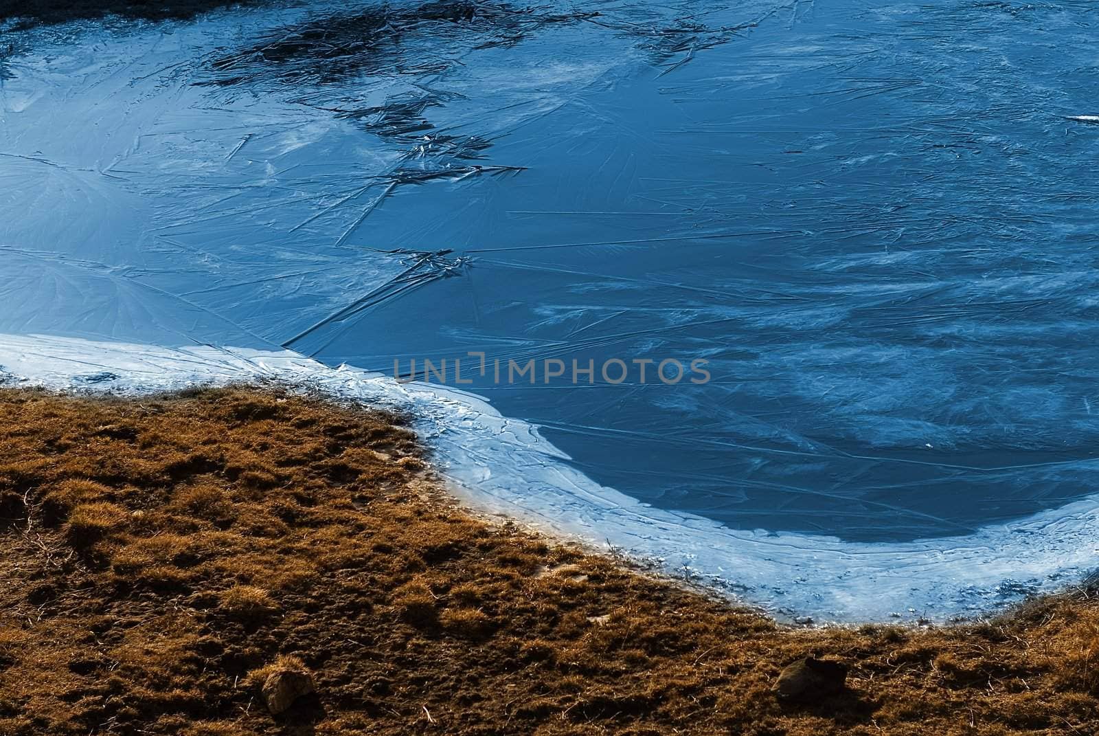 Beautiful strange iced pond surface and grass.